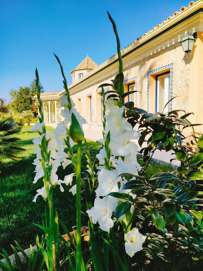 Quinta Do Bamby Villa Leiria Exteriör bild