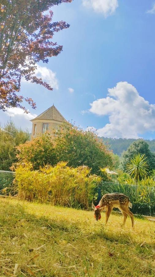 Quinta Do Bamby Villa Leiria Exteriör bild